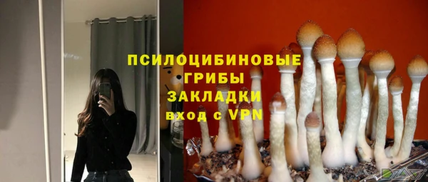 ECSTASY Остров
