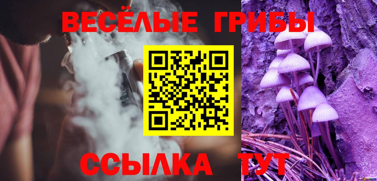 Похвистнево  Галлюциногенные грибы Cubensis  Галлюциногенные грибы ЛСД  Вход с VPN 