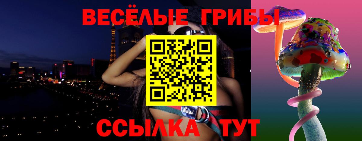 Псилоцибиновые грибы Psilocybe Похвистнево